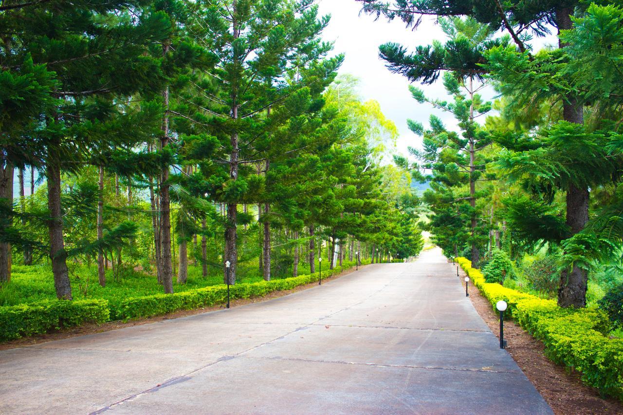 Bird Land Resort 카오코 외부 사진