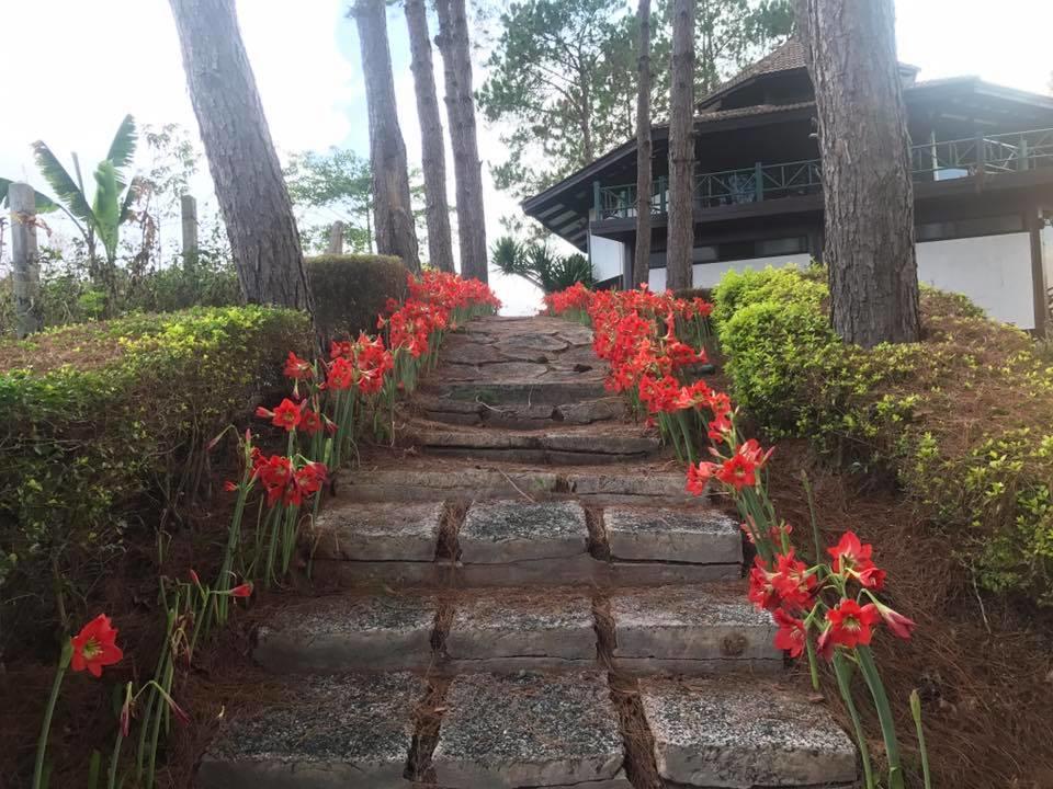 Bird Land Resort 카오코 외부 사진